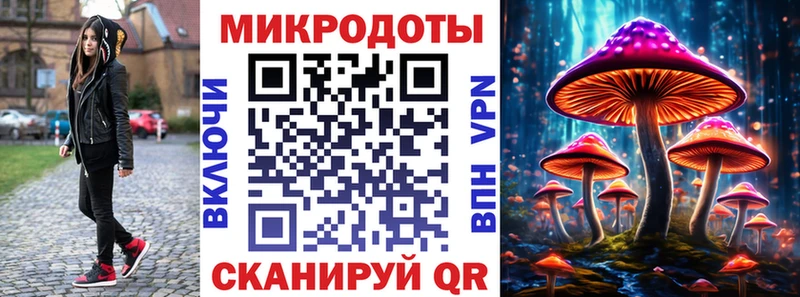 ссылка на мегу ТОР  Асино  Псилоцибиновые грибы Psilocybine cubensis 